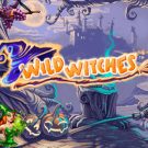 Wild Witches gokkast